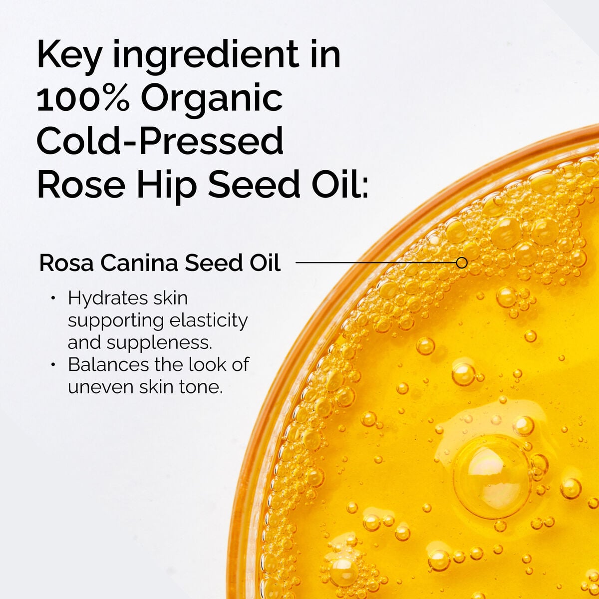 100-organic-cold-pressed-rose-hip-seed-oil-o3 FY25-D41247-ORD-Web-PDP-100-Rose-Hip-Oil-1x1-EN-2.jpg