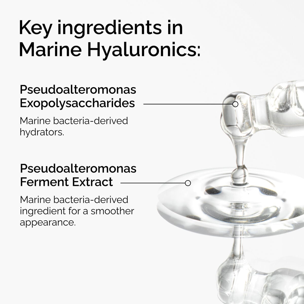 marine-hyaluronics-k0 FY25-D41247-ORD-Web-PDP-Marine-Hya-1x1-EN-2a.jpg