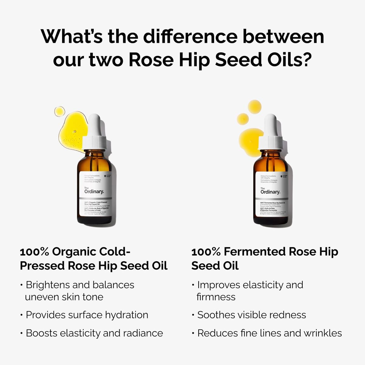 100-fermented-rose-hip-seed-oil-i0 fermented-rose-hip-vs-organic-rose-hip-graphic.jpg
