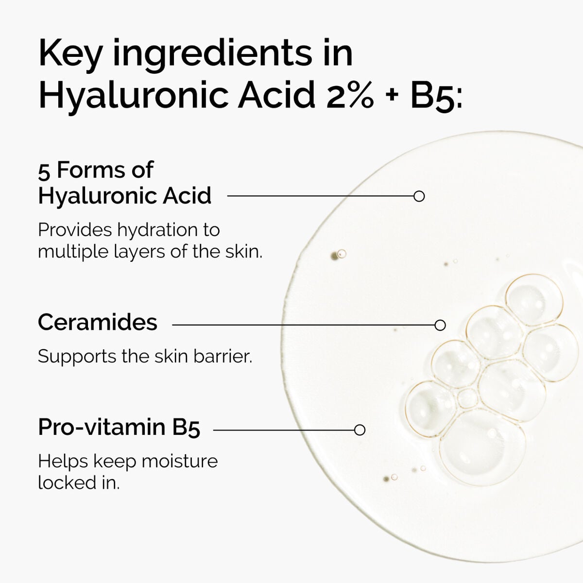 hyaluronic-acid-2-b5-with-ceramides-a2 ord-hyaluronic-acid-2pct-b5-hydrating-serum-ingredients-graphic.jpg
